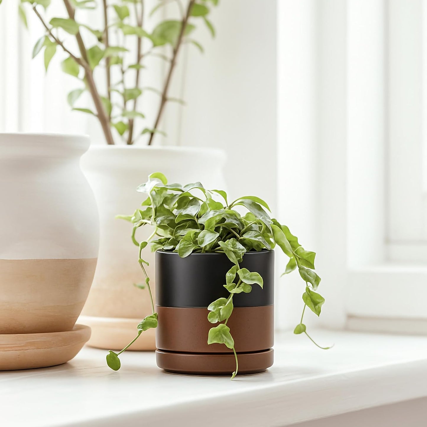 D'vine Dev Set of 4 Small Ceramic Plant Pots, 3.5 Inch Succulent Planter Pot for Plants with Drainage Hole and Saucer, Black/Speckled Tan, 94-X-A-7