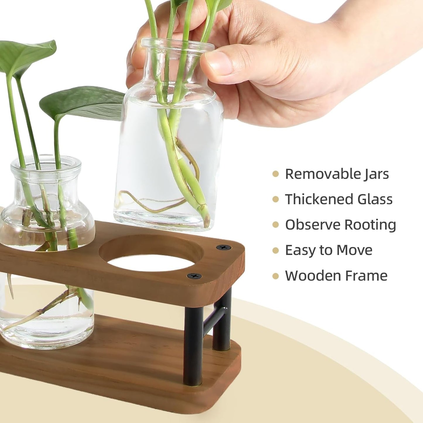 THYGIFTREE Plant Propagation Station with Wooden Stand, Propagation Vases Glass Planters for Indoor Plants Hydroponic Propagating Jars Home Office Decor, Brown
