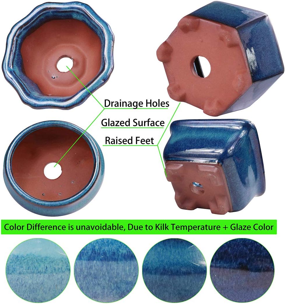 MUZHI 6PACK Glazed Bonsai Pot Planter 3" 4” Small Succulent Pots, Yixing Zisha Decorative Mame Bonsai Training Pot or Small Flower Cactus Starter Growing Planters Containers Blue