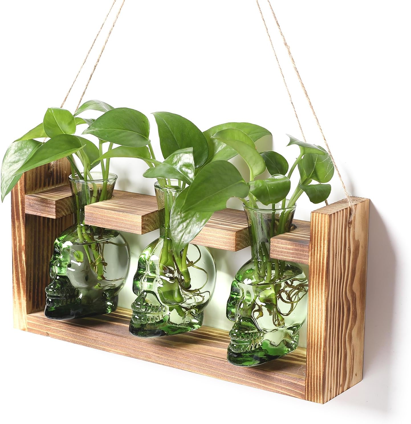 Plant Terrarium Propagation Stations Hydroponics Halloween Skull Planter Vase Skulls Decor with Wooden Stand Gift for Father
