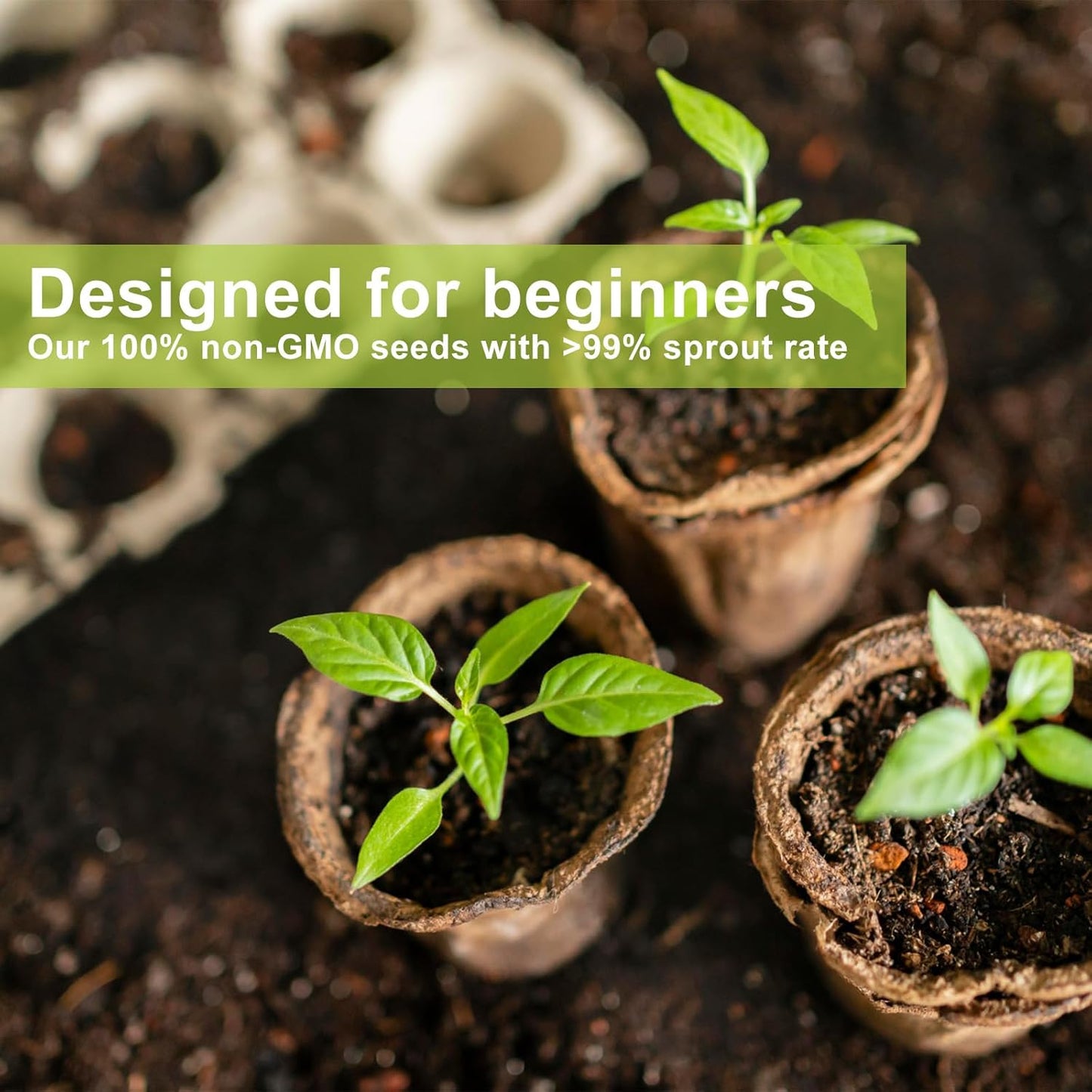 Bonsai Tree Kit with 4 Types of Seeds, Organic Coco Coir Bricks, Bonsai Pot, Plant Markers, Bonsai Tools, Bonsai Starter Kit with Japanese Style Wooden Gift Box, DIY Growing Kit, Cool Gifts for Men