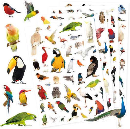 Bird Stickers 850 Count Tropical Bird Parrot Flamingo Peacock Hummingbirds Stickers Animal Party Favors Gifts Sticky Decor for Scrapbook Calendar Planner Gift Wrap Decor