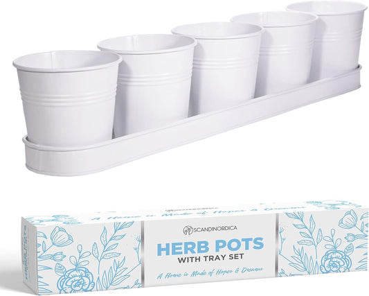SCANDINORDICA White Herb Planter 5 Pots with Drainage Holes and Tray, Windowsill Planter, Indoor/Outdoor Herb Pots