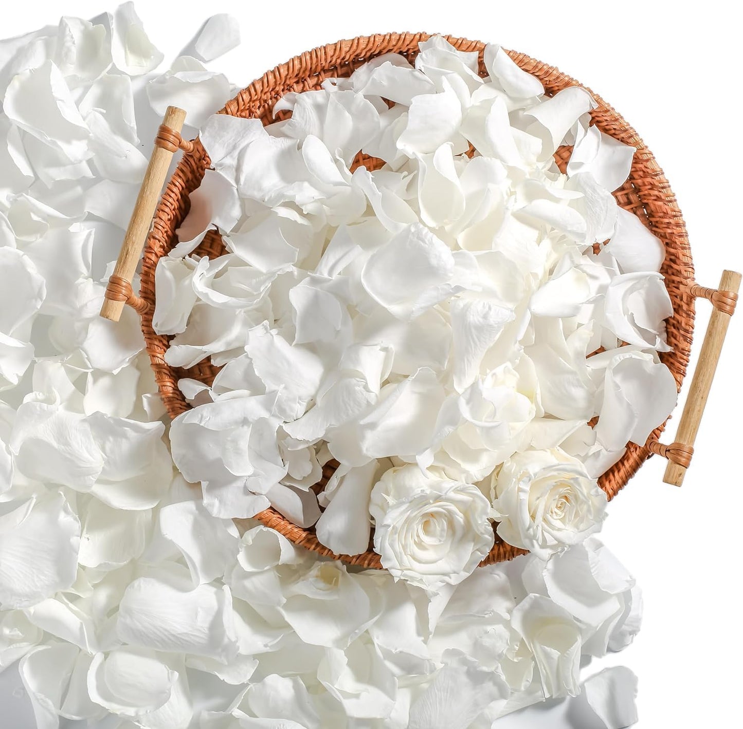 Real Ivory Rose Petals, Frozen Preserved Petals for, Wedding Party Decorations, Dried Flower Confetti, Table Centerpieces, Bridal Shower, 3.17 oz (90 g)