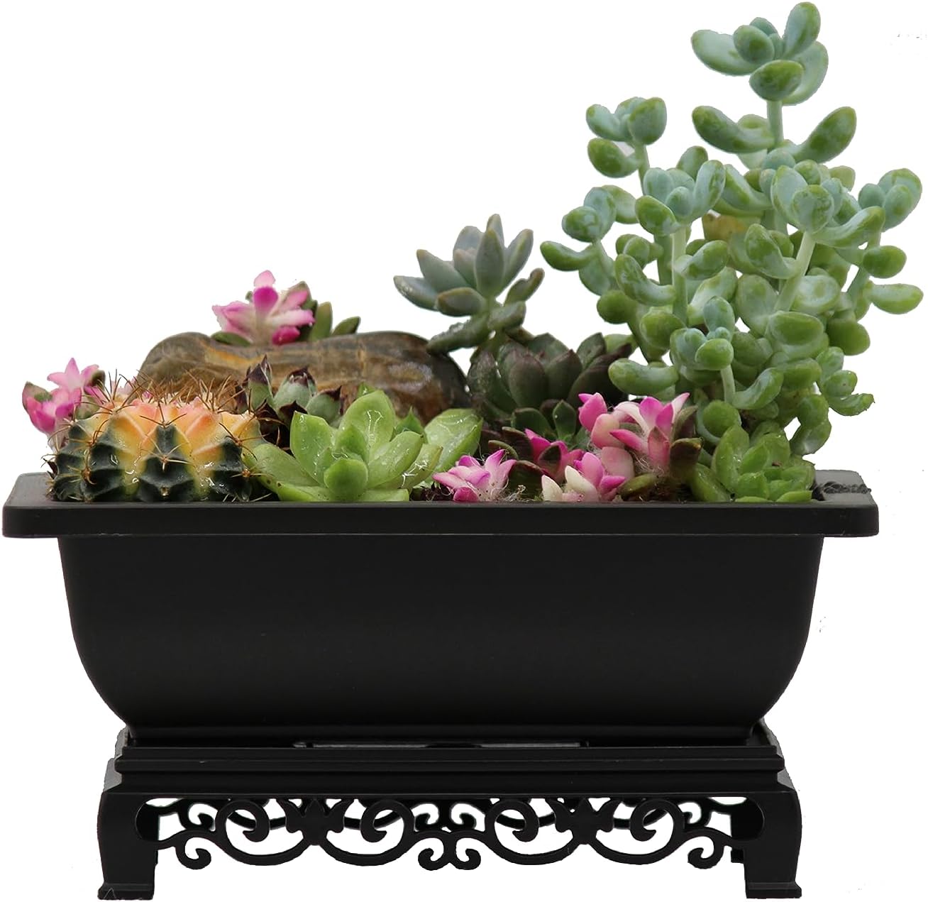 Cotta Planters Bonsai Pots 7.5 Inch Antique Brown Bonsai Training Pots with Elegant Stand 2-Pack with Mesh Drainage Luxurious Indoor Recycled Plastic Planters