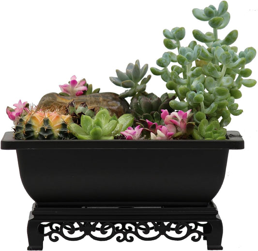 Cotta Planters Bonsai Pots 7.5 Inch Antique Brown Bonsai Training Pots with Elegant Stand 2-Pack with Mesh Drainage Luxurious Indoor Recycled Plastic Planters