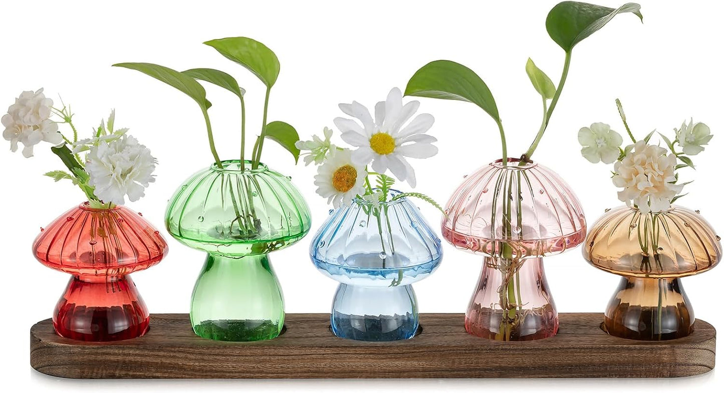 Glasseam Mushroom Plant Propagation Stations: Glass Terrarium Jars with Wood Stand - Unique Hydroponic Planters for Indoor Plants, Office Decor - 5 Pcs