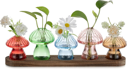 Glasseam Mushroom Plant Propagation Stations: Glass Terrarium Jars with Wood Stand - Unique Hydroponic Planters for Indoor Plants, Office Decor - 5 Pcs