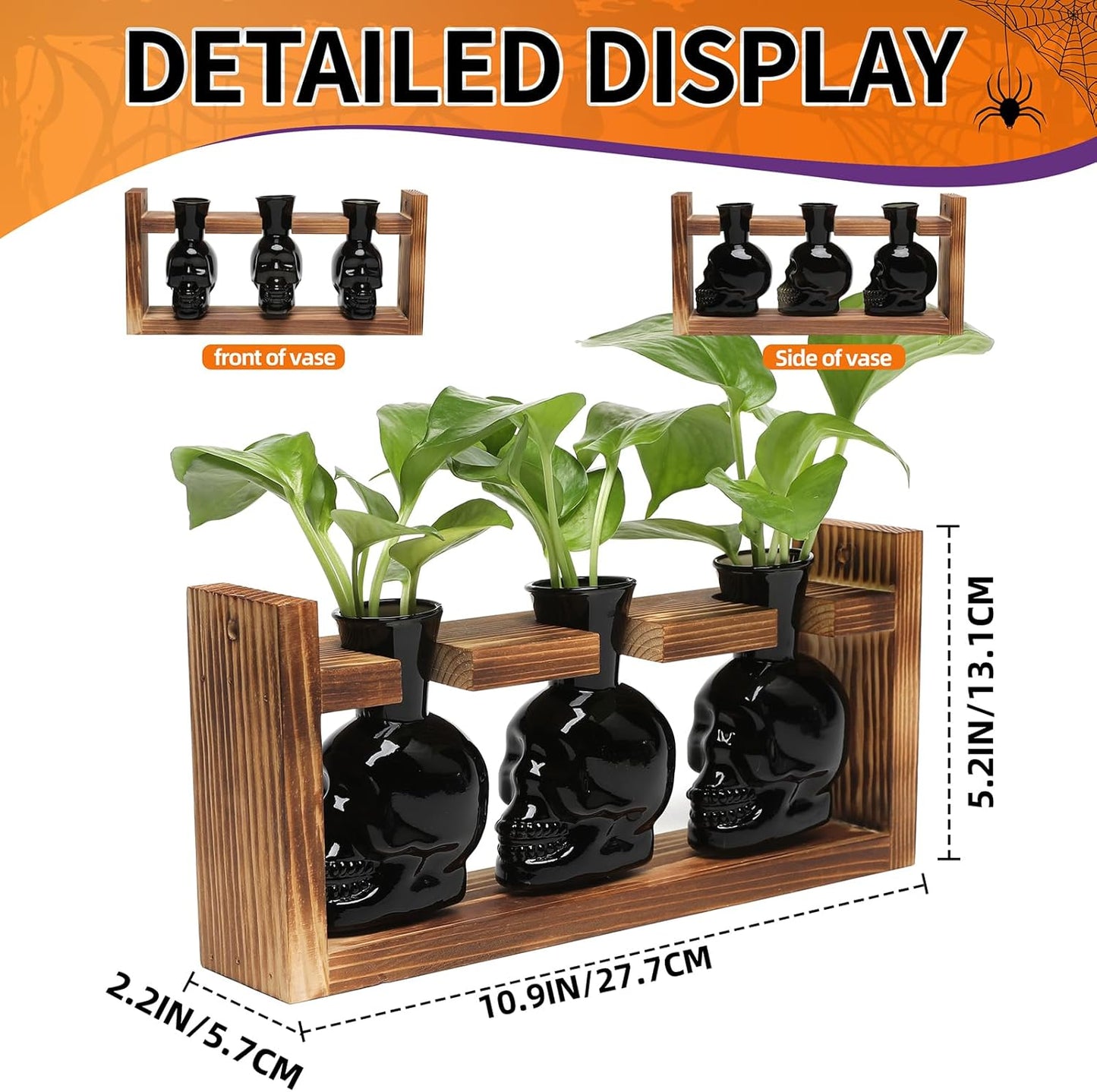 Plant Terrarium Propagation Stations Hydroponics Halloween Skull Planter Vase Skulls Decor with Wooden Stand Gife for Father