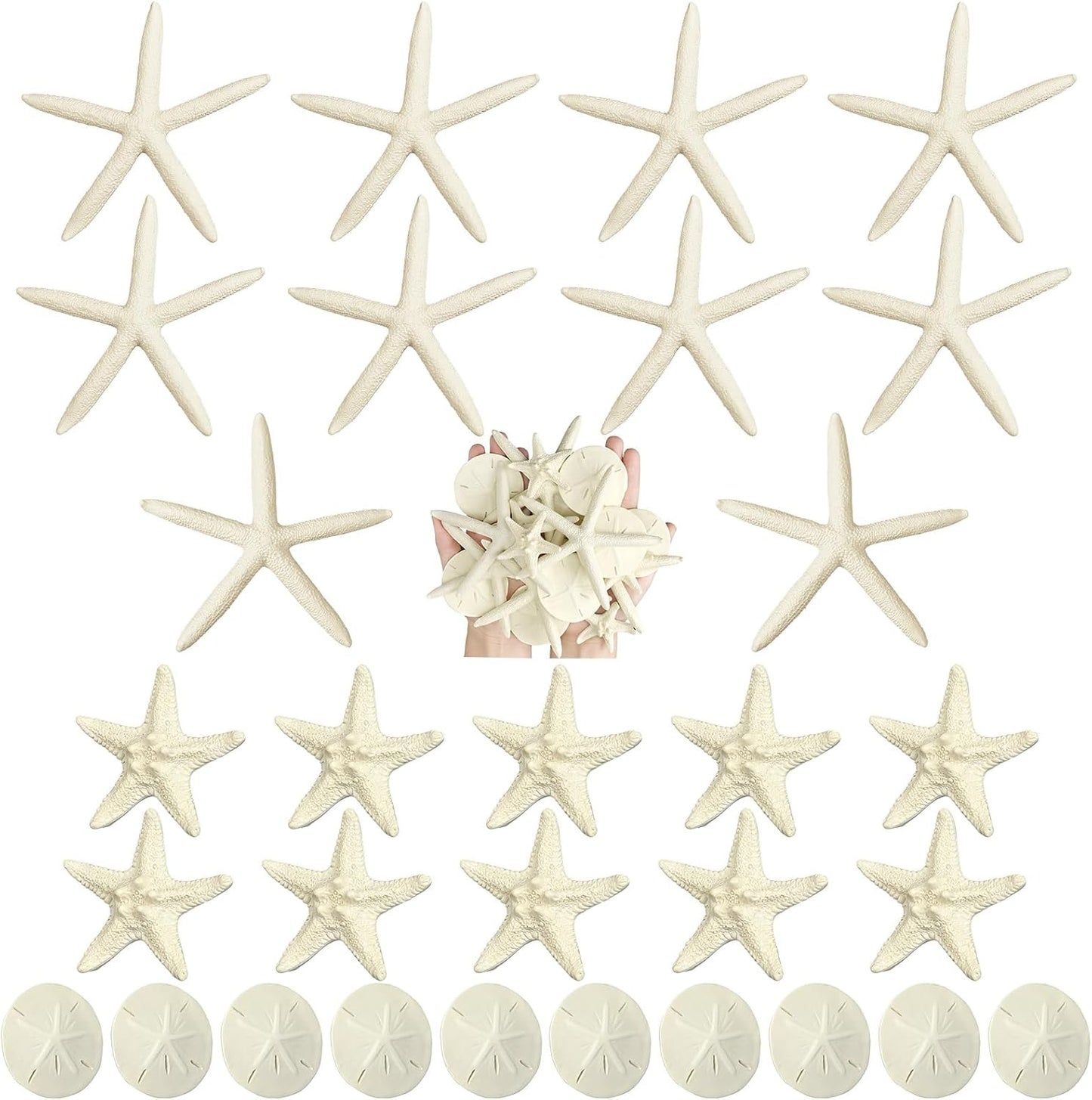 Queekay 30 Pieces Resin Starfish Sand Dollars 2.0 Inch 4.7 Inch Starfish 2.3 Inch Sand Dollars Crafts Ocean Themed Glittered Coastal Decorations for Summer Wedding Christmas Party Decor Supplies