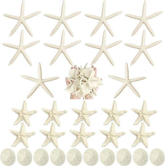 Queekay 30 Pieces Resin Starfish Sand Dollars 2.0 Inch 4.7 Inch Starfish 2.3 Inch Sand Dollars Crafts Ocean Themed Glittered Coastal Decorations for Summer Wedding Christmas Party Decor Supplies