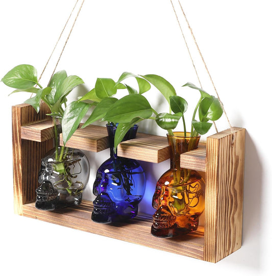 Plant Terrarium Propagation Stations Hydroponics Halloween Skull Planter Vase Skulls Decor with Wooden Stand Gift for Father