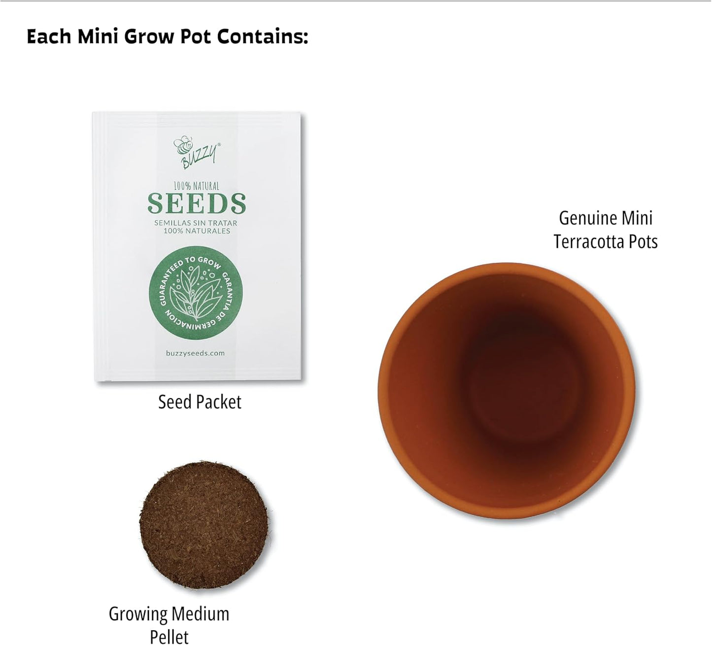 BUZZY Seeds Terracotta Mini Grow Pots | Flower Starter Kit for Kids & Adults | Assorted 12-Pack, Bright Series Collection, Daisy, Lavender, Mini Rose, Sunflower | Gardening Gift, Party Favors