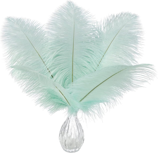 Ballinger Aqua Green Ostrich Feathers - 24pcs 10-12inch Craft Feathers Bulk for Wedding Party Centerpieces Mardi Gras Decorations and Home Decor