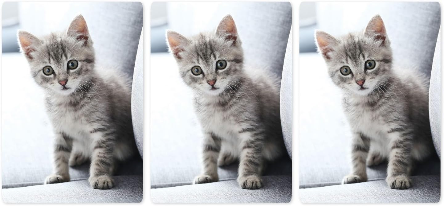 Andaz Press Bulk Photo Personalized Gift and Party Favors Collection, Chocolate Miniature Labels Chocolate Minis Party Favors, Custom Photo, 36-Pack