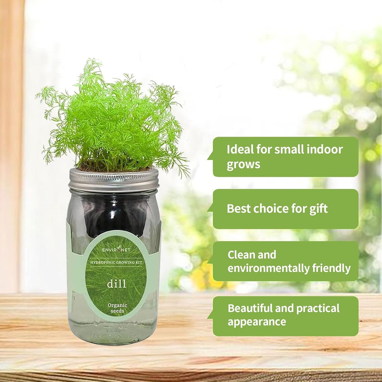 Hydroponic Herb Growing Kit, Self-Watering Mason Jar Herb Garden Starter Kit Indoor, Windowsill Herb Garden, Grow Your Own Herbs from Organic Seeds (Dill)