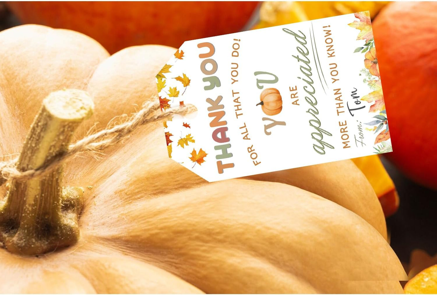 50pcs Thanksgiving Thank You Gift Tags, Friendsgiving Favor Tags with String for Teacher Staff Appreciation Favors Decoration (Appreciation)