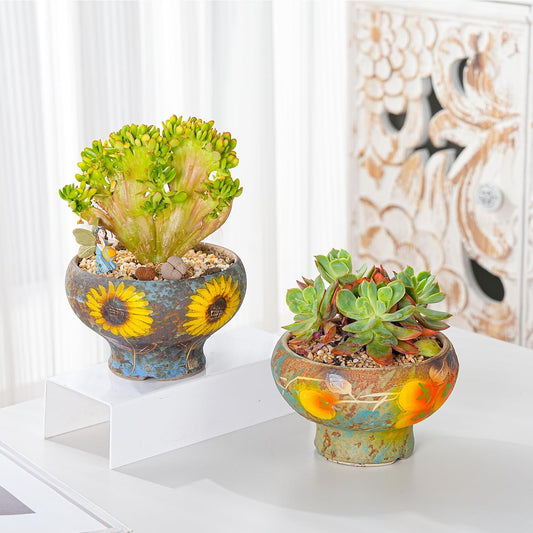 Sungmor Small Succulent Planters Set of 2, Beautiful Hand Crafted Ceramic Plant Pots Cute Cactus Pot, 6.5 Inch Flower Pots for Indoor Plants with Drainage, Desktop Windowsill Home Office Decor Pots