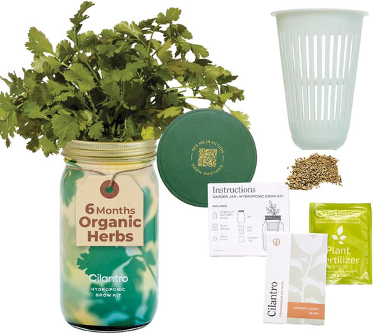 Modern Sprout Mason Garden Jar - Self-Watering Hydroponics Growing System Kit with Organic Herb Seeds - Jar Planter for Indoor Herb Garden - Seed Starter Kit - Home Decor & Gifting - Cilantro