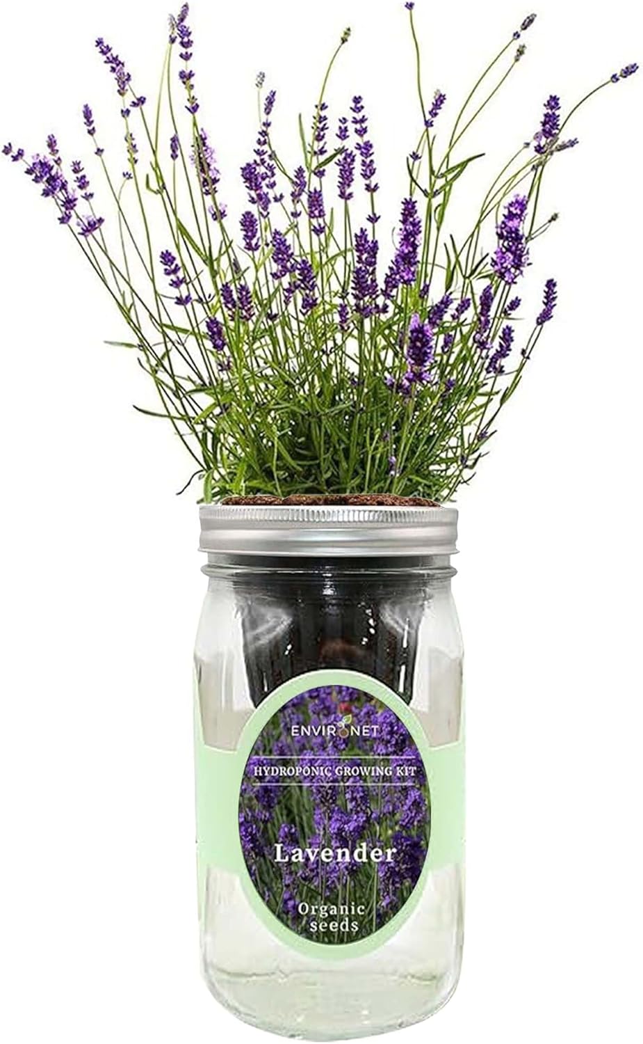Hydroponic Herb Growing Kit, Self-Watering Mason Jar Herb Garden Starter Kit Indoor, Windowsill Herbs Garden, Grow Your Own Herbs from Organic Seeds (Lavender)