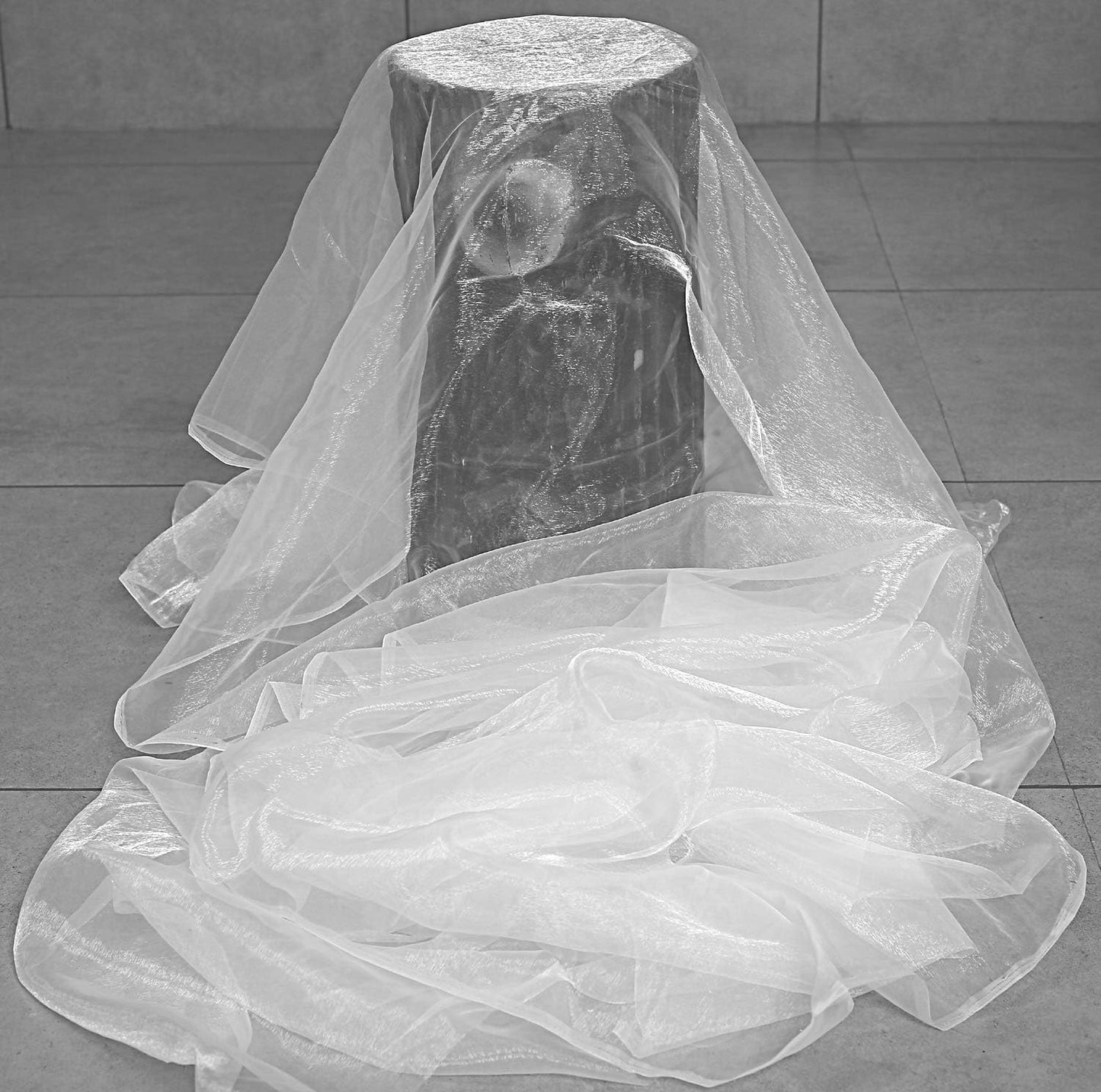 VDS White Organza Fabric, 100 Yards Continuous, 45” Wide, Wedding Party Decoration Iridescent Crystal Sheer Shiny Organza Tulle Bridal Dress DIY Crafts Costume Sewing Backdrop Arch Cloth