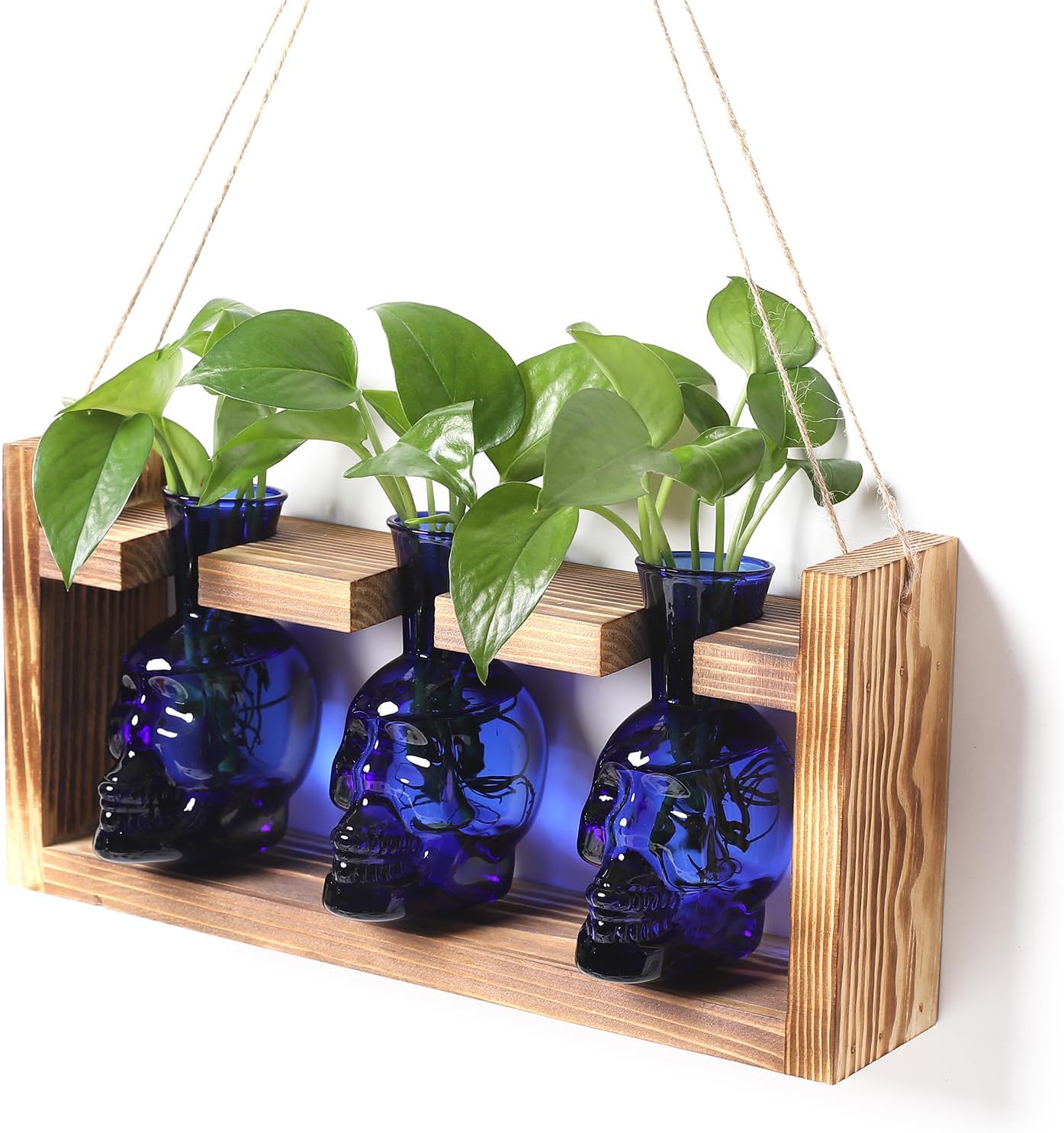 Plant Terrarium Propagation Stations Hydroponics Halloween Skull Planter Vase Skulls Decor with Wooden Stand Gift for Father