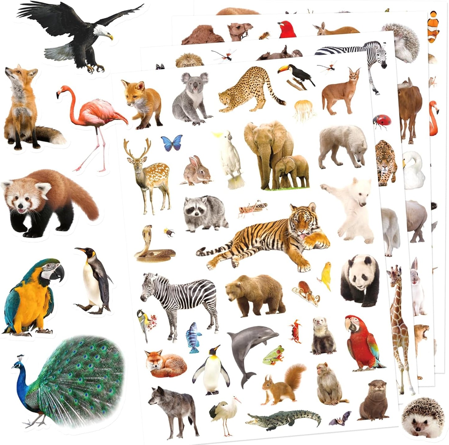 Wild Animals Stickers 750 Count Safari Jungle Animal Woodland Wildlife Zoo Creatures Stickers Party Favors Gifts Sticky Decor for Scrapbook Calendar Planner Gift Wrap Decor