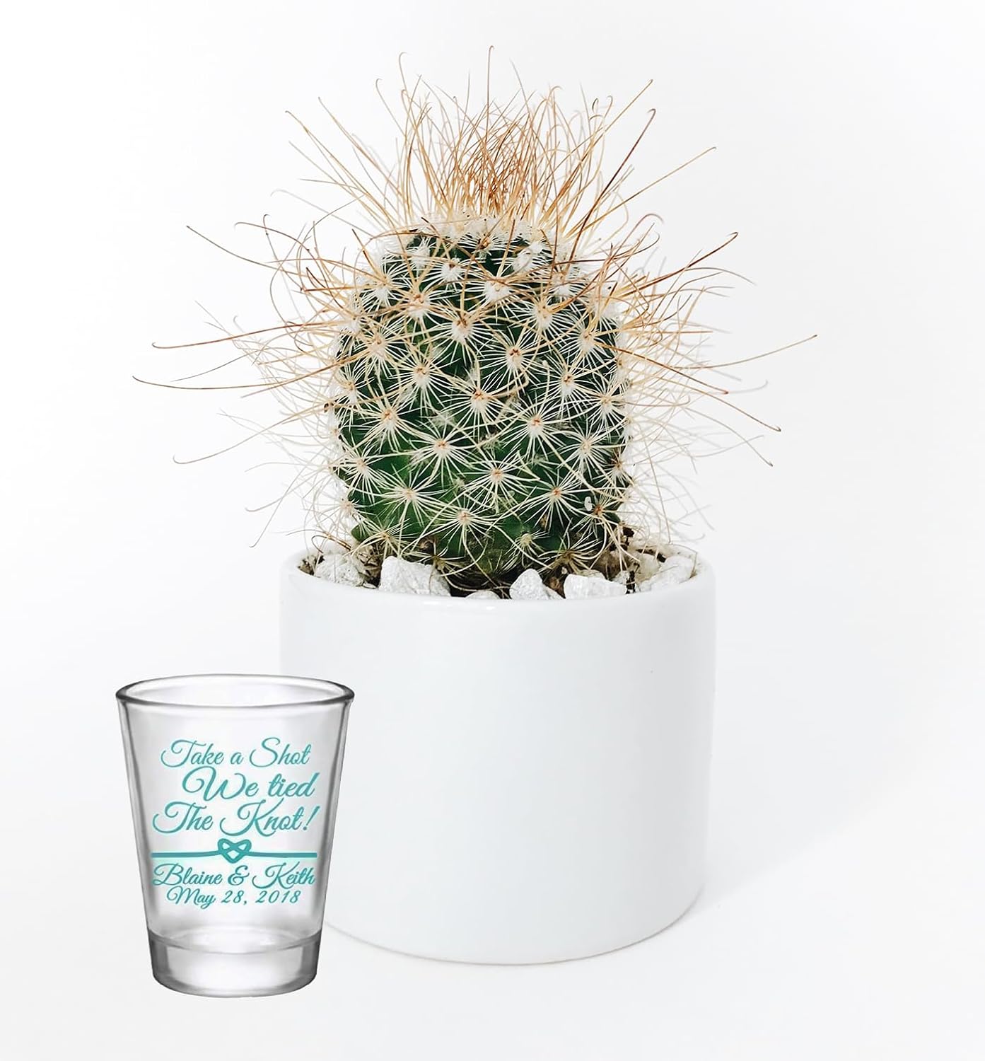 Personalized 1.75oz Glass Shot Glass “Take A Shot We Tied the Knot” Design Wedding Favors, After Party and Anniversary Dinner Party