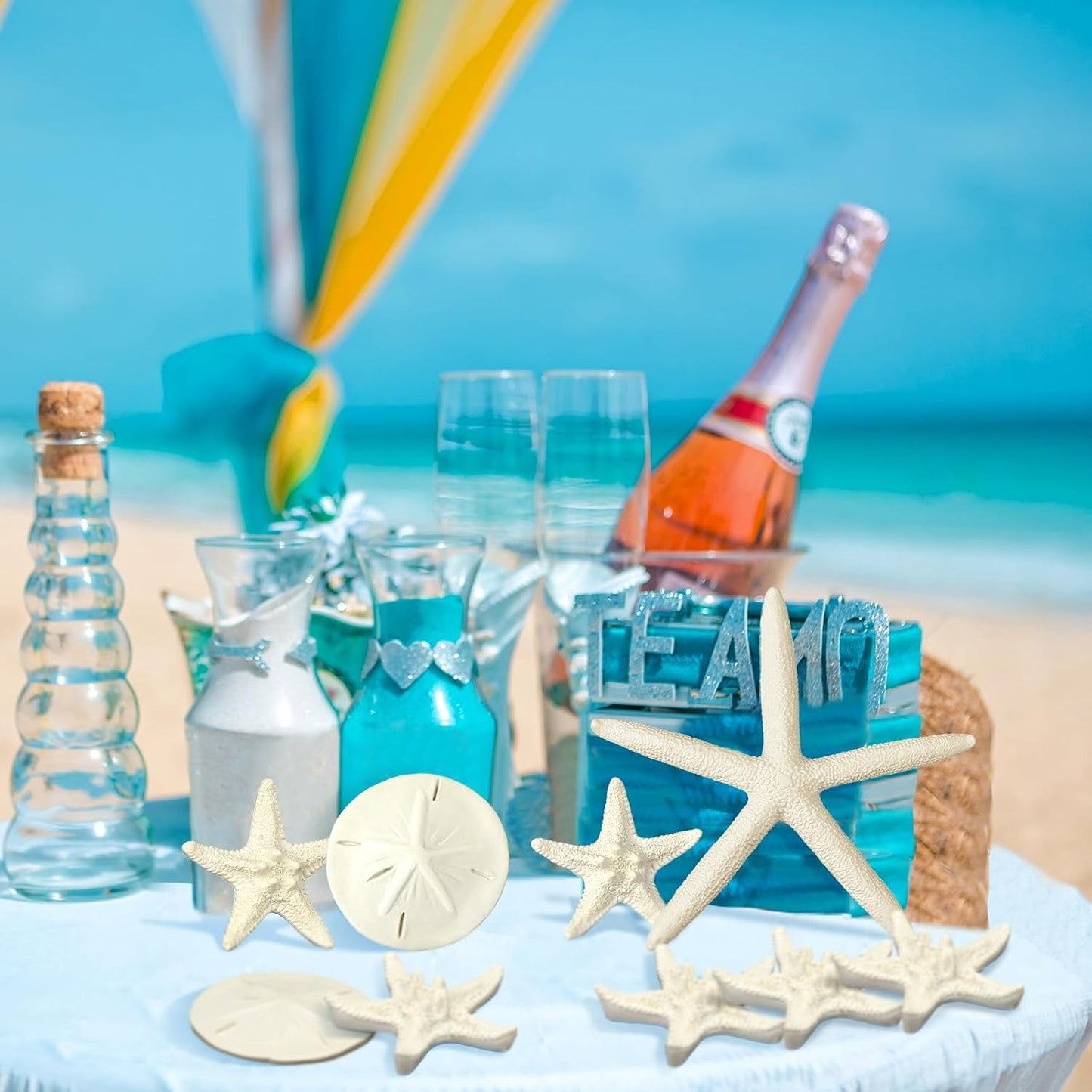 Queekay 15 Pieces Resin Starfish Sand Dollars 2.0 Inch 4.7 Inch Starfish 2.3 Inch Sand Dollars Crafts Ocean Themed Glittered Coastal Decorations for Summer Wedding Christmas Party Decor Supplies