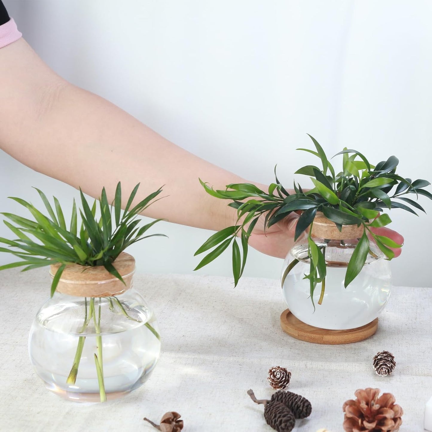 Tabletop Plant Propagation Station,Aquatic Plant Culture Glass Mini vase,with Wooden Dish，Gifts for Plant Lovers, Suitable for desks, House, Garden Decorations (2pcs)