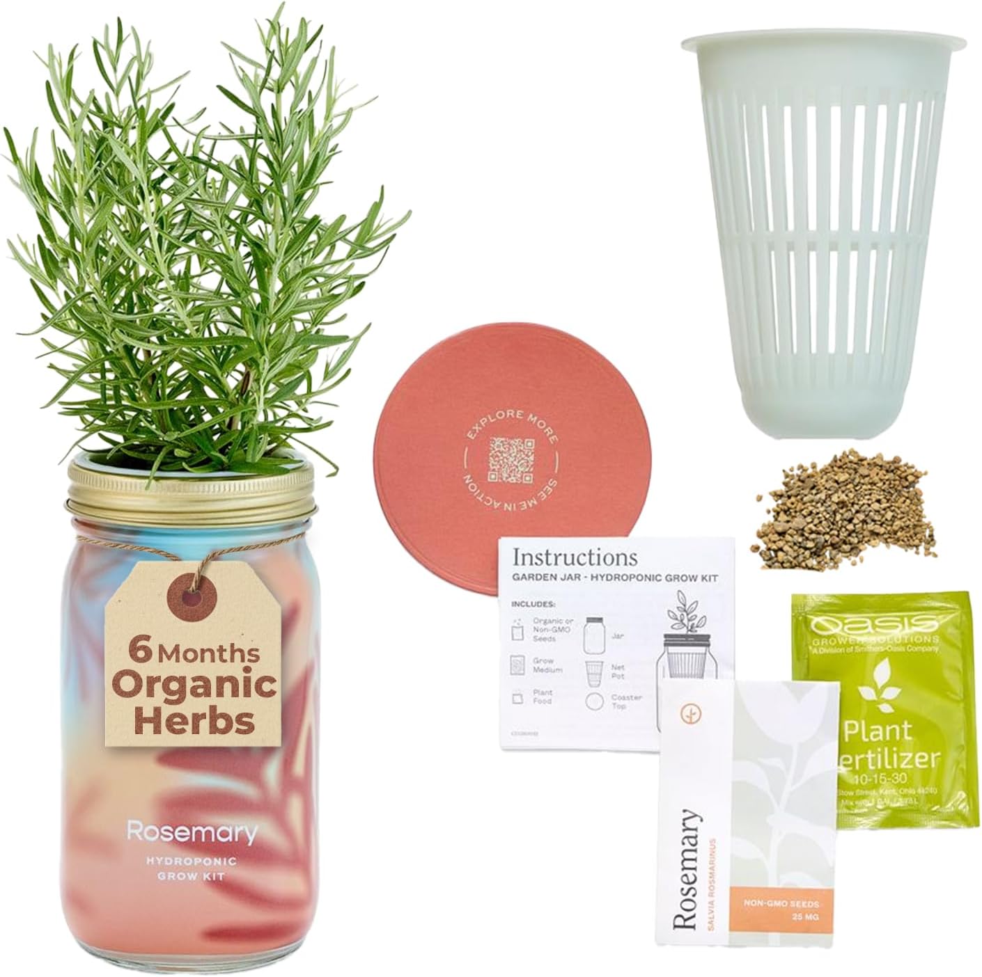 Modern Sprout Mason Garden Jar - Self-Watering Hydroponics Growing System Kit with Organic Herb Seeds - Jar Planter for Indoor Herb Garden - Seed Starter Kit - Home Decor & Gifting - Rosemary