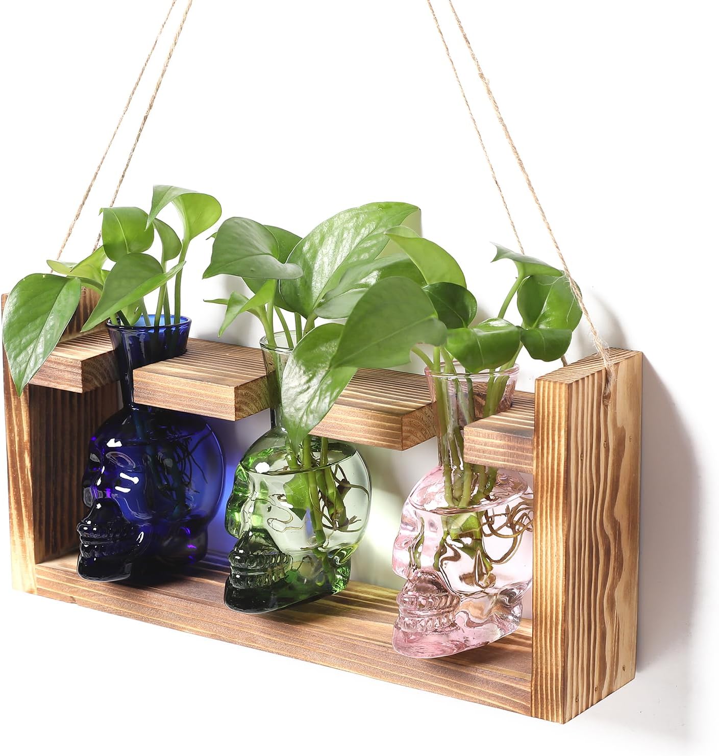 Plant Terrarium Propagation Stations Hydroponics Halloween Skull Planter Vase Skulls Decor with Wooden Stand Gift for Father