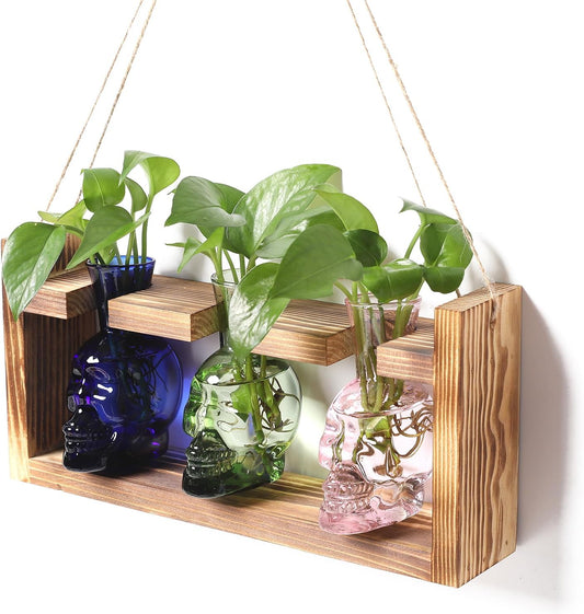 Plant Terrarium Propagation Stations Hydroponics Halloween Skull Planter Vase Skulls Decor with Wooden Stand Gift for Father