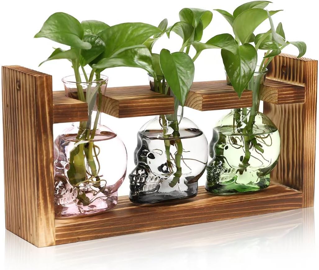 Plant Terrarium Propagation Stations Hydroponics Halloween Skull Planter Vase Skulls Decor with Wooden Stand Gife for Father