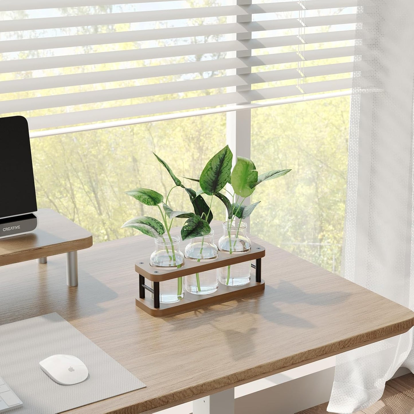 THYGIFTREE Plant Propagation Station with Wooden Stand, Propagation Vases Glass Planters for Indoor Plants Hydroponic Propagating Jars Home Office Decor, Brown