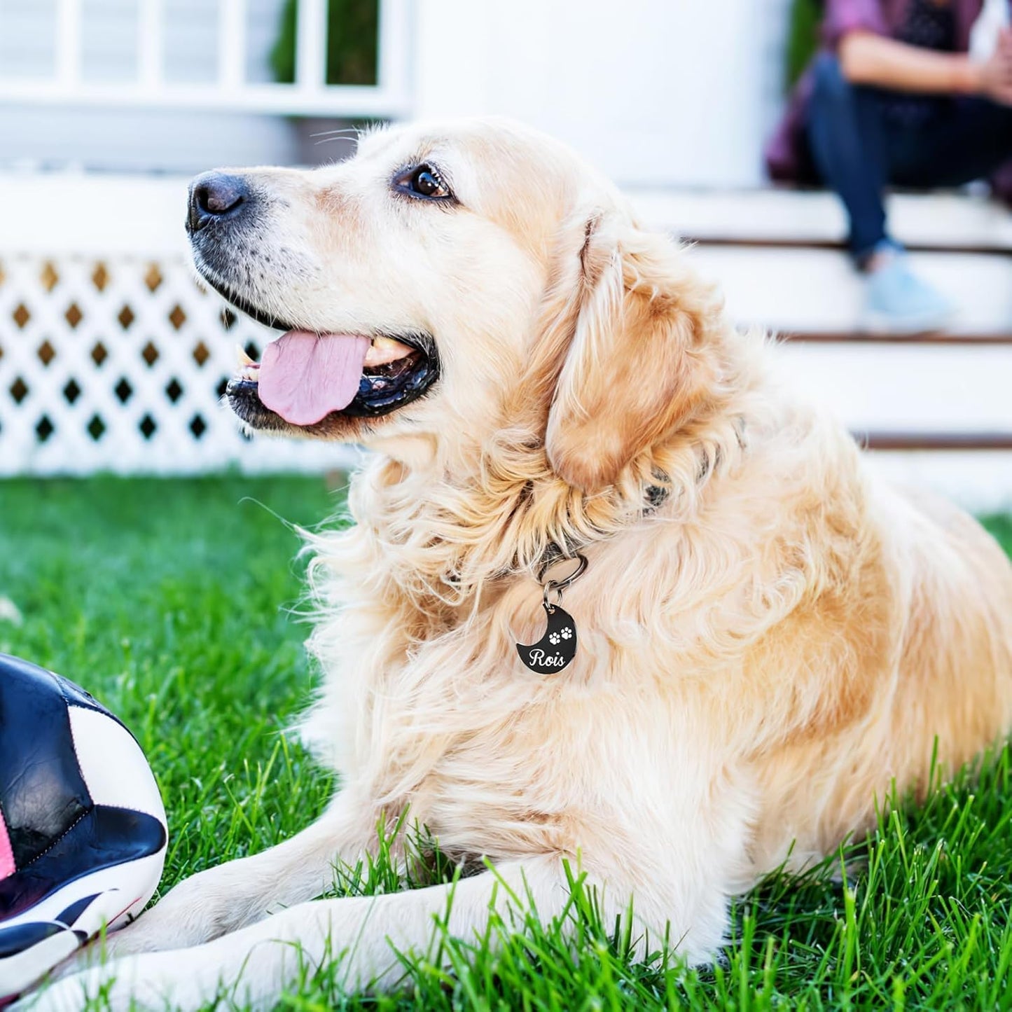 Dog Tags Engraved for Pets - YEHANTI Personalized Dog Tags with Lovely Icons, Durable Stainless Steel Pet ID Tags for Small Large Dogs Cats, Custom Dog Name Tags Engraved on Both Sides (Moon)