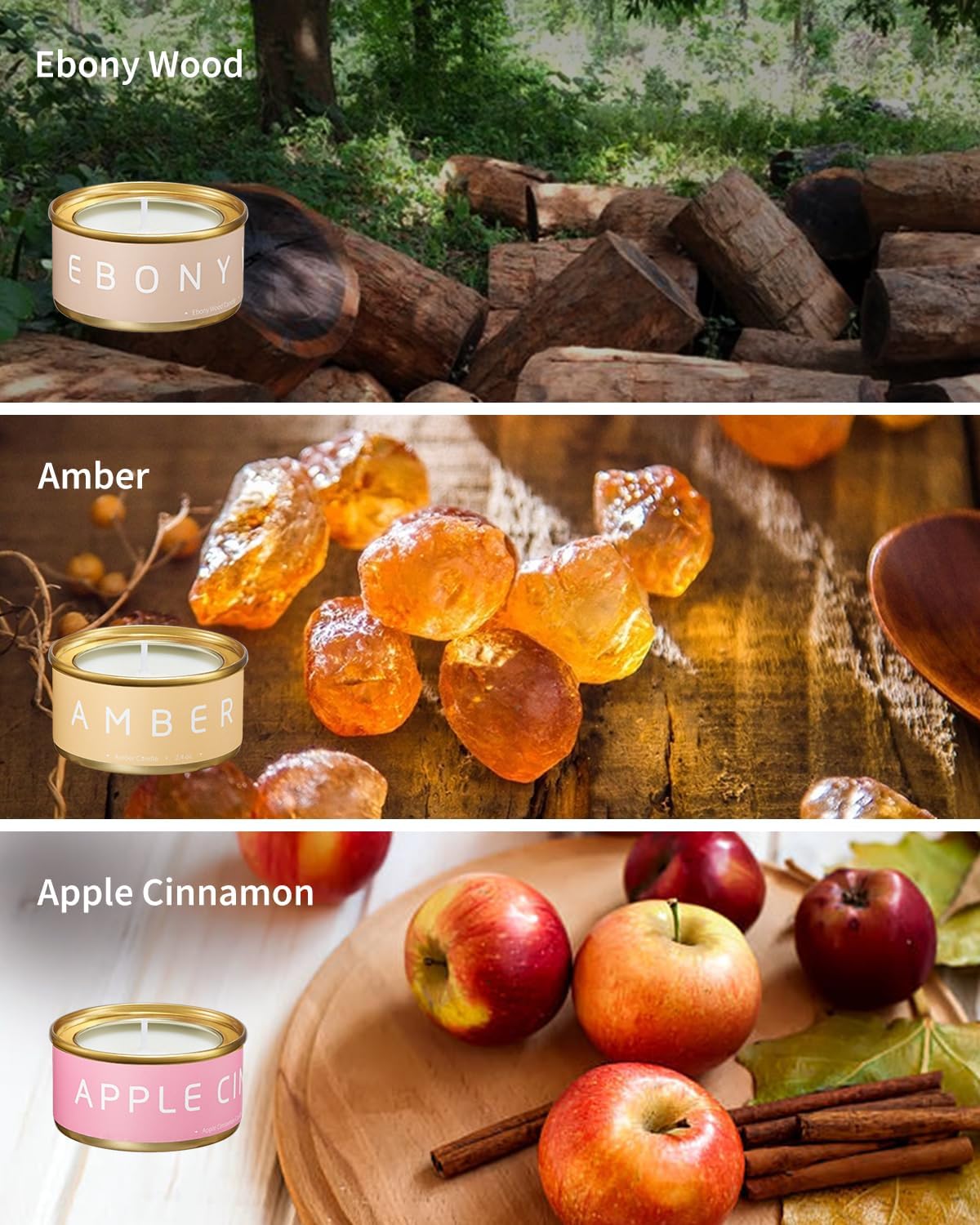 VTS Fall Candles Set, 6 Pack Aromatherapy Candles (Apple Cinnamon, Fir Tree, Mahogany, Ebony Wood, Lemongrass, Amber), Candle Gifts for Men Women for Christmas Birthday