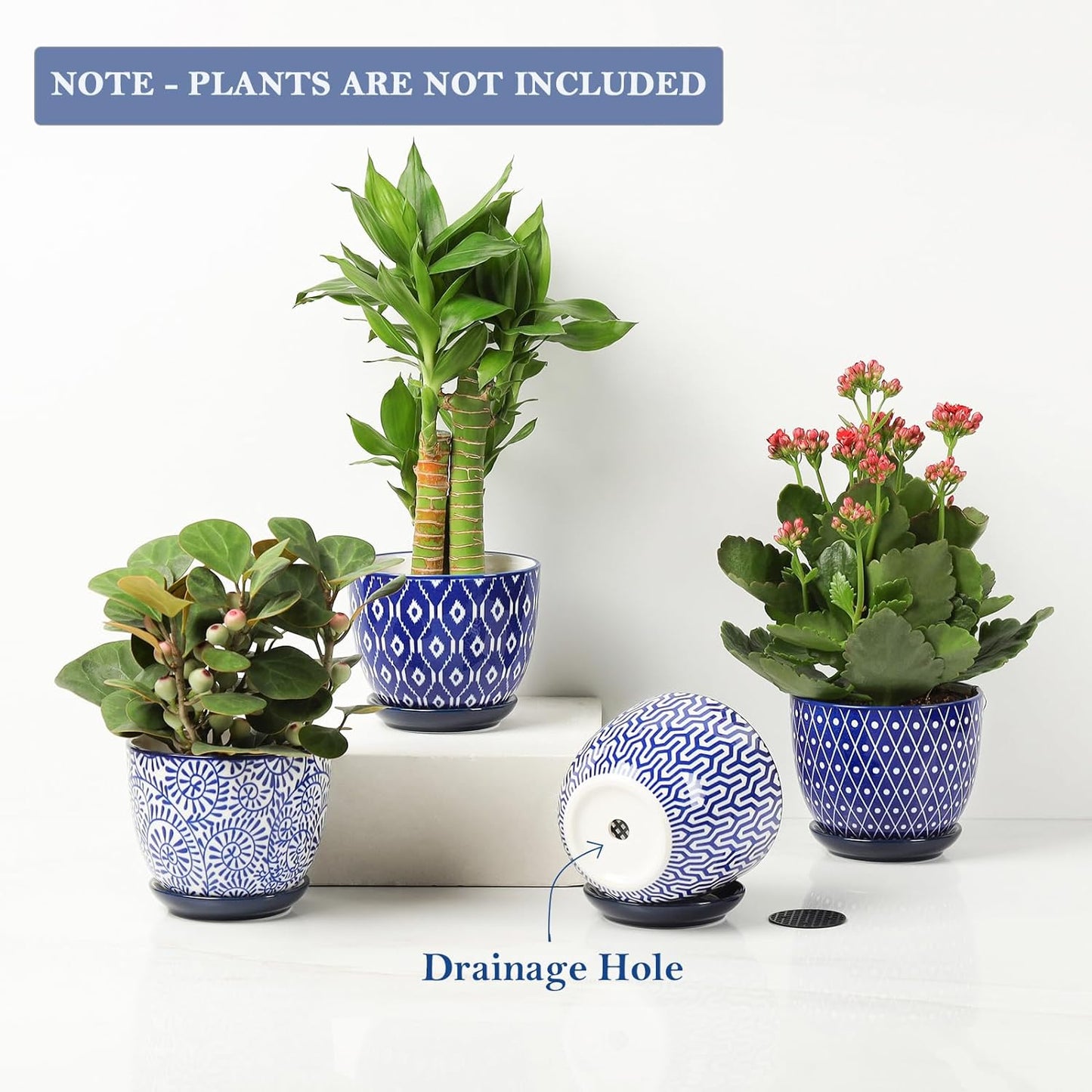 Selamica Ceramic Succulent Pots with Drainage Holes, Small Flower Pots 3.5 Inch Plant Pots for Indoor Plants with Saucers, Cactus Succulent, Home Decor, Set of 4, Vintage Blue