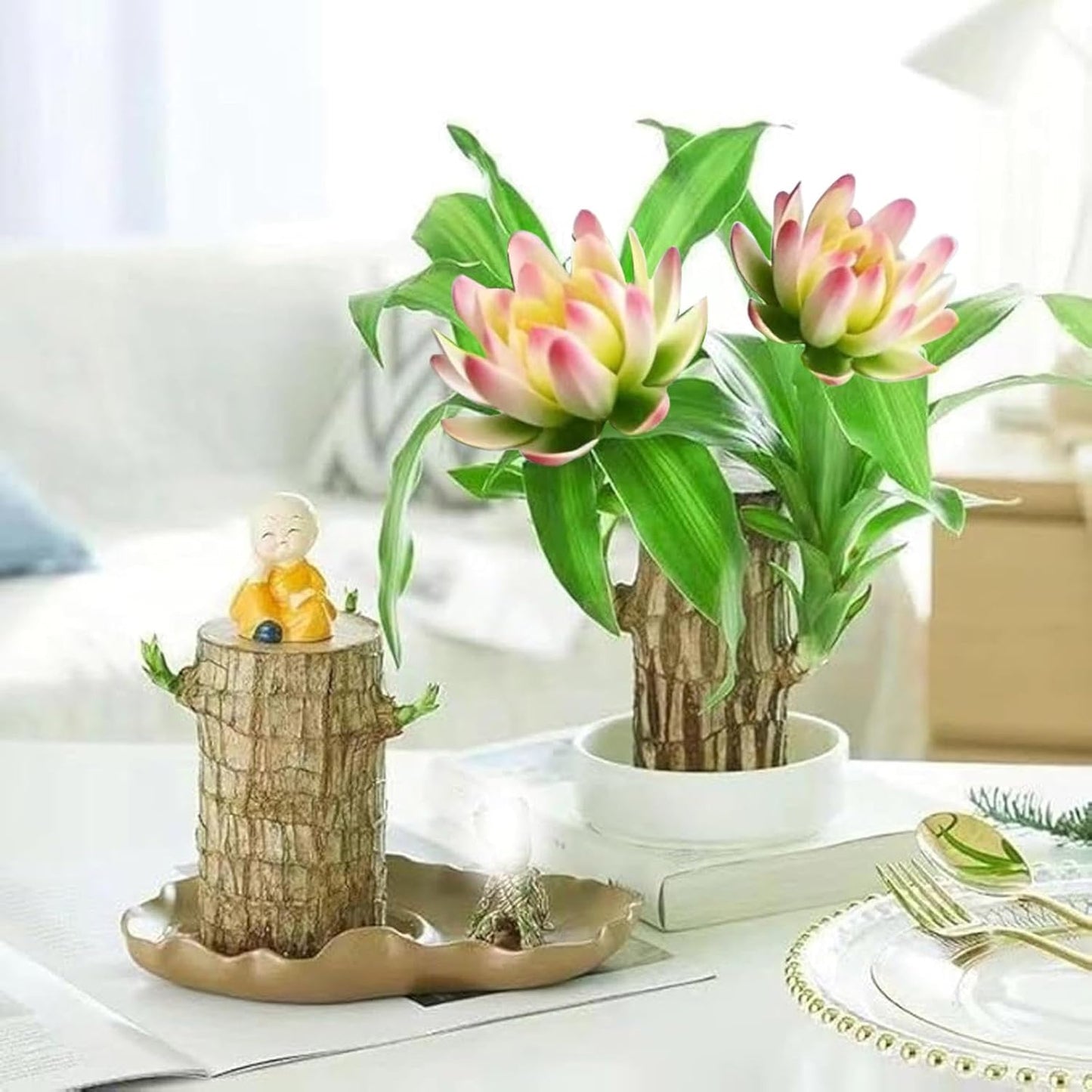 Brazilian Lucky Wood Plant Kit, Lucky Wood Doesn't Need to Wait to Sprout, Suitable for Home Office Desk Decor, Natural Air Cleaner (A)