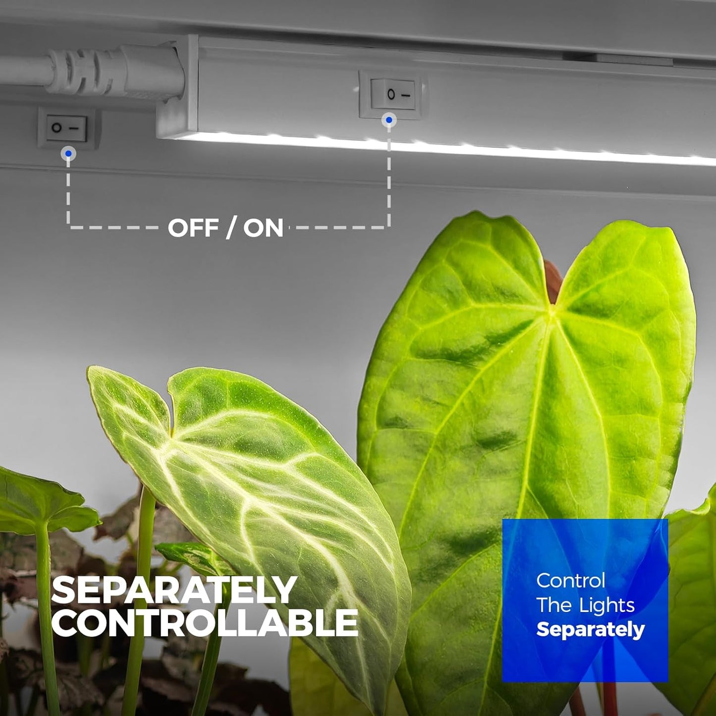 Barrina T5 Grow Lights for Indoor Plants, 5000K Full Spectrum, 1FT LED Growing Lamp, Plant Light Strip, for Seed Starting, Vegetables, Plug and Play, 4-Pack