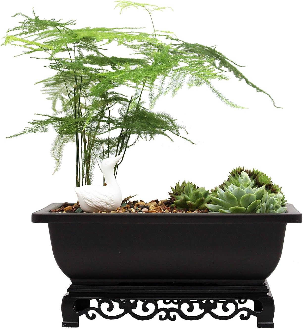 Cotta Planters Bonsai Pot - 2-Pack 9 Inch Training Pot With Elegant Stand - Antique Brown Pots With Mesh Drainage - Luxurious Indoor Tree Pots Made With Recycled Plastic