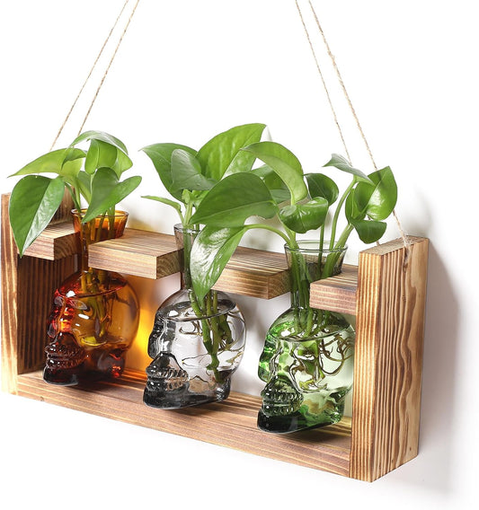 Plant Terrarium Propagation Stations Hydroponics Halloween Skull Planter Vase Skulls Decor with Wooden Stand Gift for Father