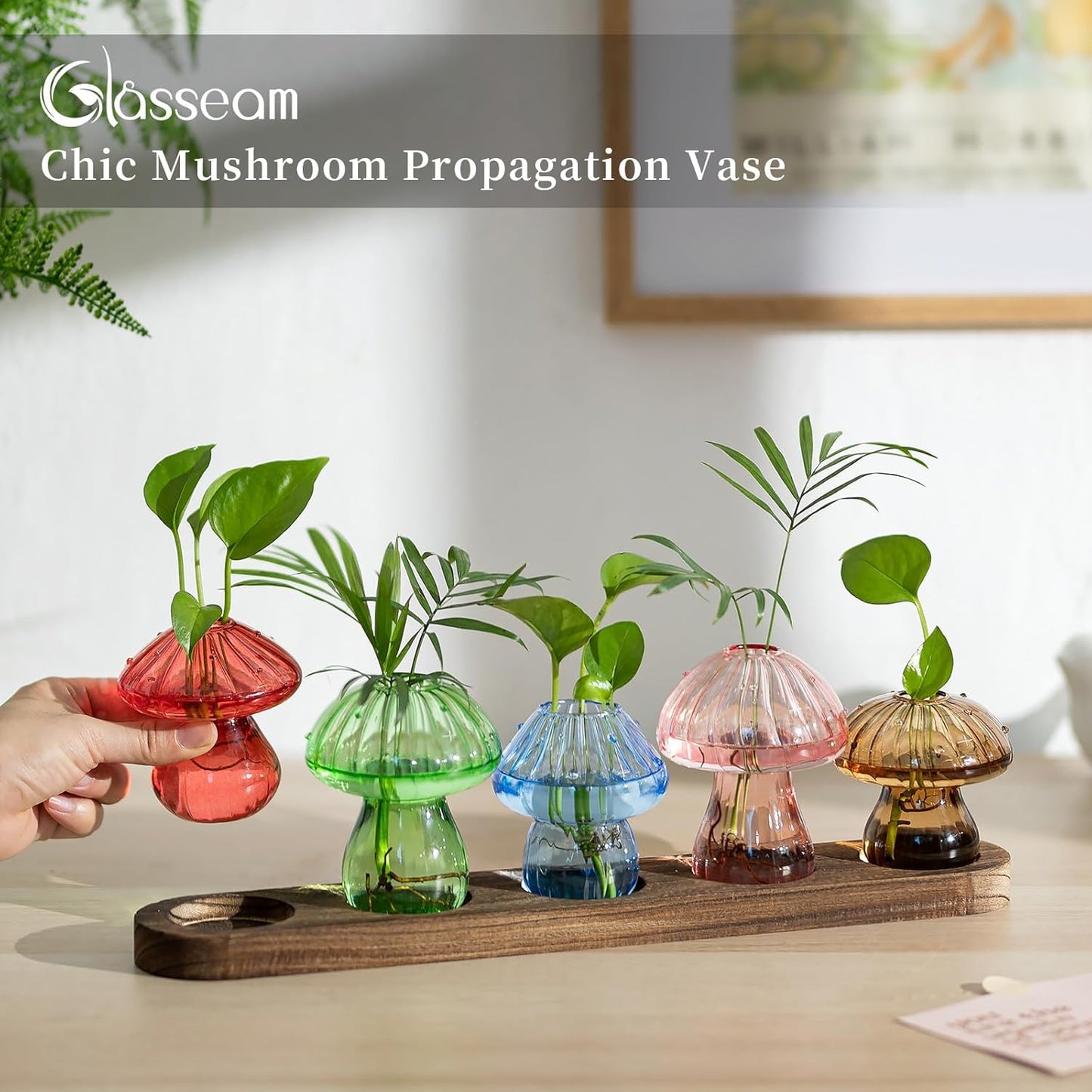 Glasseam Mushroom Plant Propagation Stations: Glass Terrarium Jars with Wood Stand - Unique Hydroponic Planters for Indoor Plants, Office Decor - 5 Pcs
