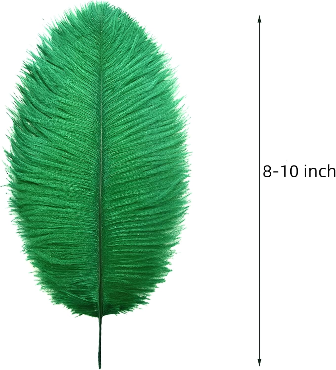 Ballinger Craft Green Ostrich Feathers - 24pcs 8-10inch Feathers for Vase, Wedding Party Centerpieces Mardi Gras Decorations and Home Decor…