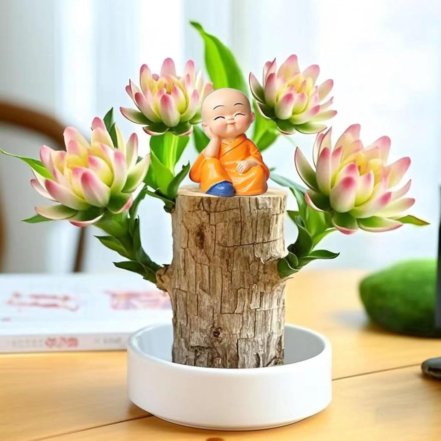 Brazilian Lucky Wood Plant Kit, Lucky Wood Doesn't Need to Wait to Sprout, Suitable for Home Office Desk Decor, Natural Air Cleaner (A)