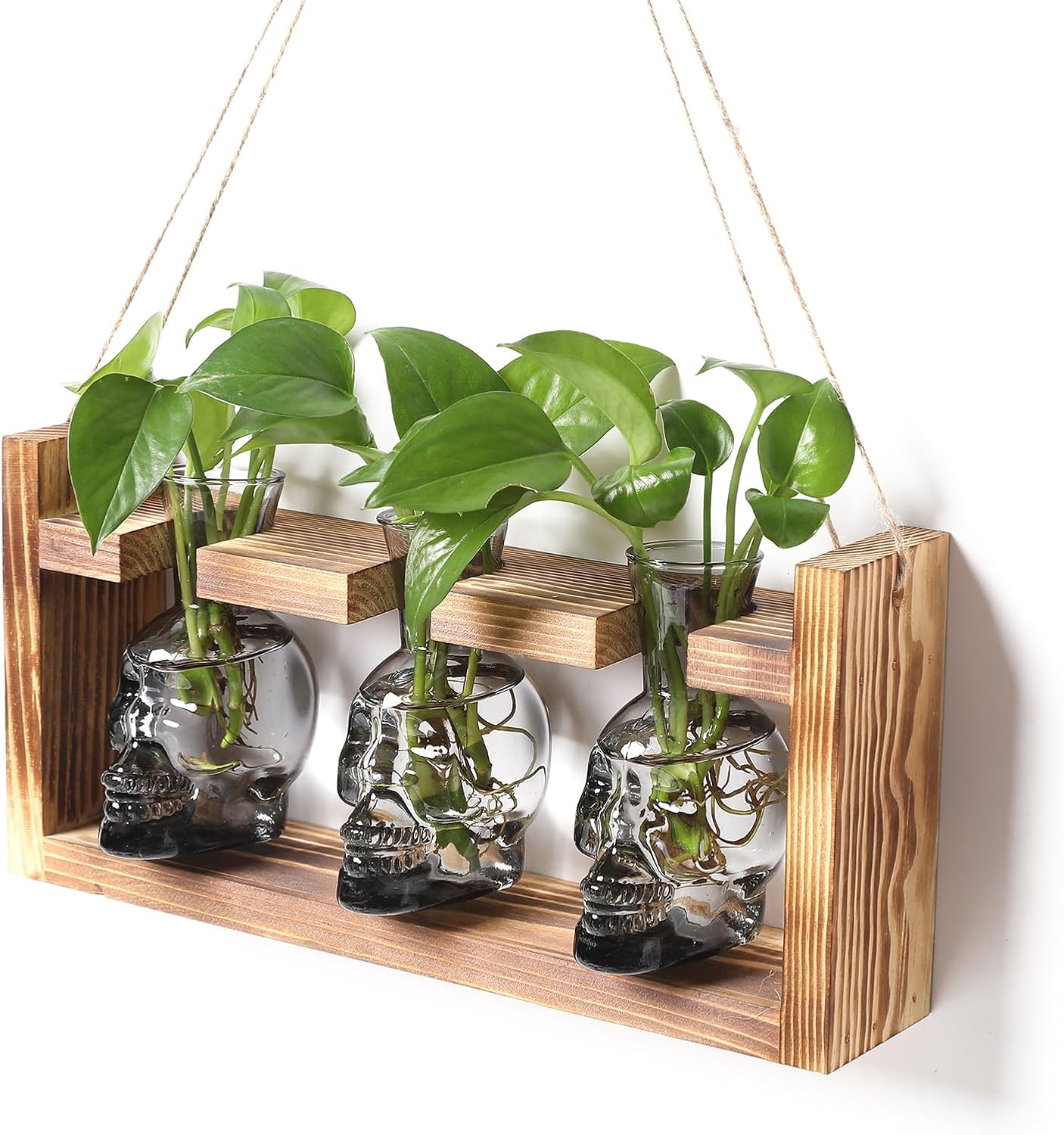 Plant Terrarium Propagation Stations Hydroponics Halloween Skull Planter Vase Skulls Decor with Wooden Stand Gife for Father