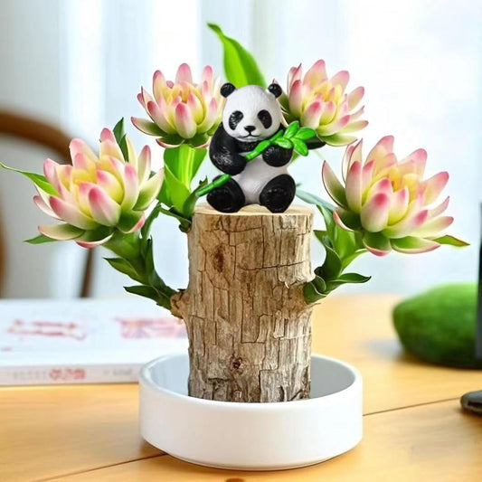 Brazilian Lucky Wood Plant Kit, Lucky Wood Doesn't Need to Wait to Sprout, Suitable for Home Office Desk Decor, Natural Air Cleaner (D)