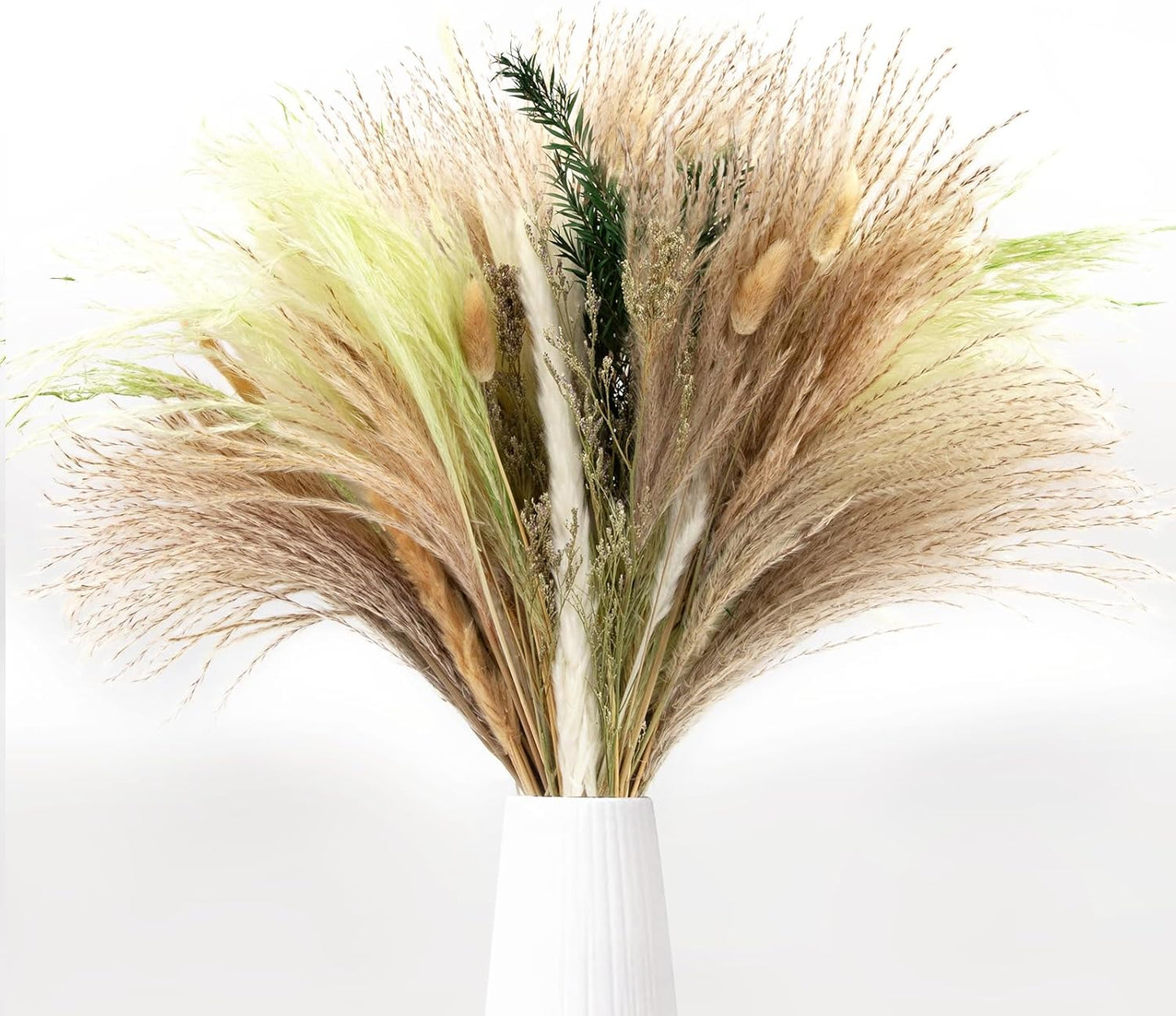 N&T NIETING 85 Pcs Green Dried Pampas Grass-White Pompas Grass, Brown Pampass Grass, Green Pompas, Reed Grass, Valentine Grass, Bunny Tails Dried Fowers for Home Wedding Boho Decor(18 Inch)