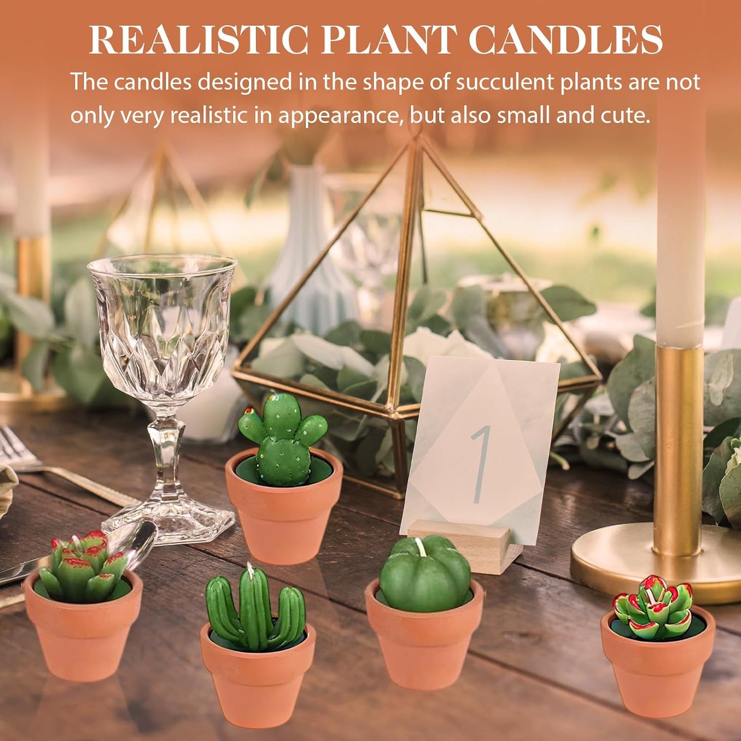 AZEAM 24 Pcs Succulent Candles Party Favors, Bulk Cactus Table Decor with Mini Terracotta Holders, Tiny Handmade Plant Tealights Candle Decoration for Baby Shower Bridal Game Wedding Home Birthday