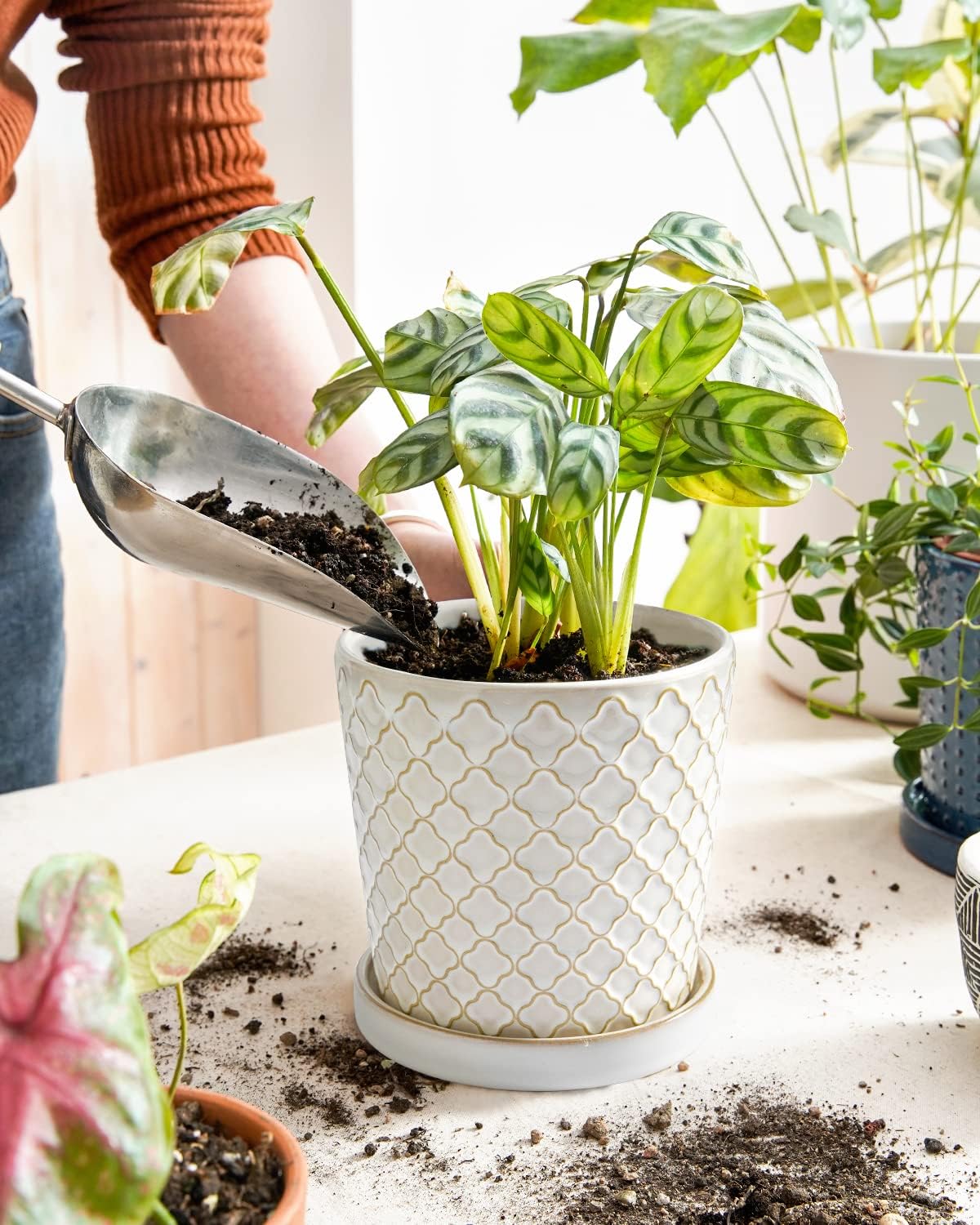 LE TAUCI Ceramic Pots for Plants, 5.4 Inch Plant Pots with Drainage Hole and Saucer, Indoor Plant Pots for Succulent, Snake Plants and Cactus, Flower Pots, Set of 2, Reactive Glaze White